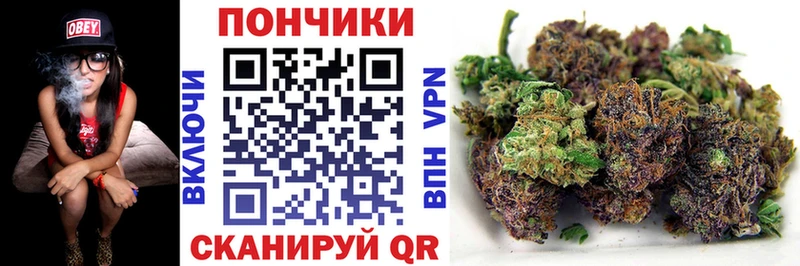 Марихуана Bruce Banner  Оса 